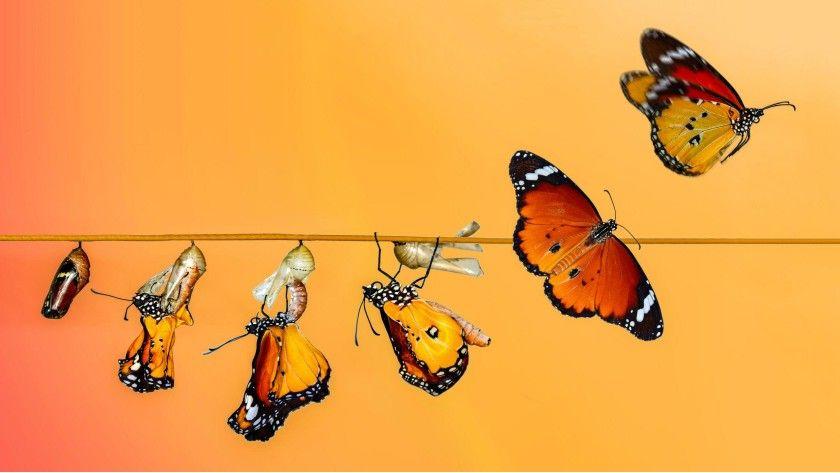Heading 1: Transformation of ⁤Education Delivery through EdTech Platforms